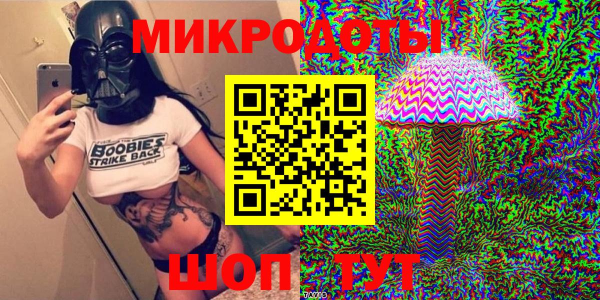 Галлюциногенные грибы Psilocybine cubensis Чапаевск